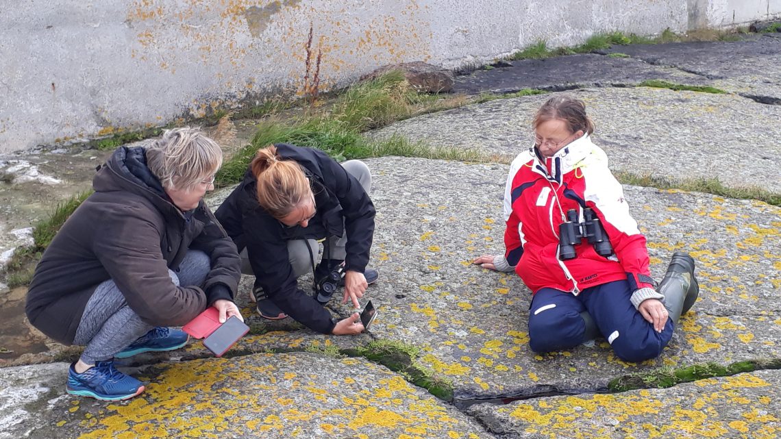 Kolme naista tutkivat kasveja kalliolla