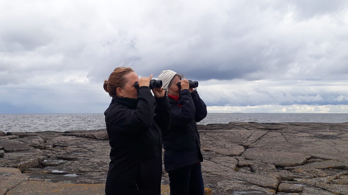 Kaksi naista kiikaroi