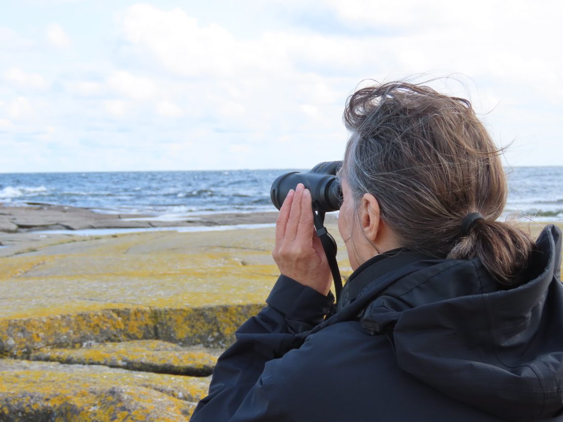 Nainen katselee lintuja kiikarilla