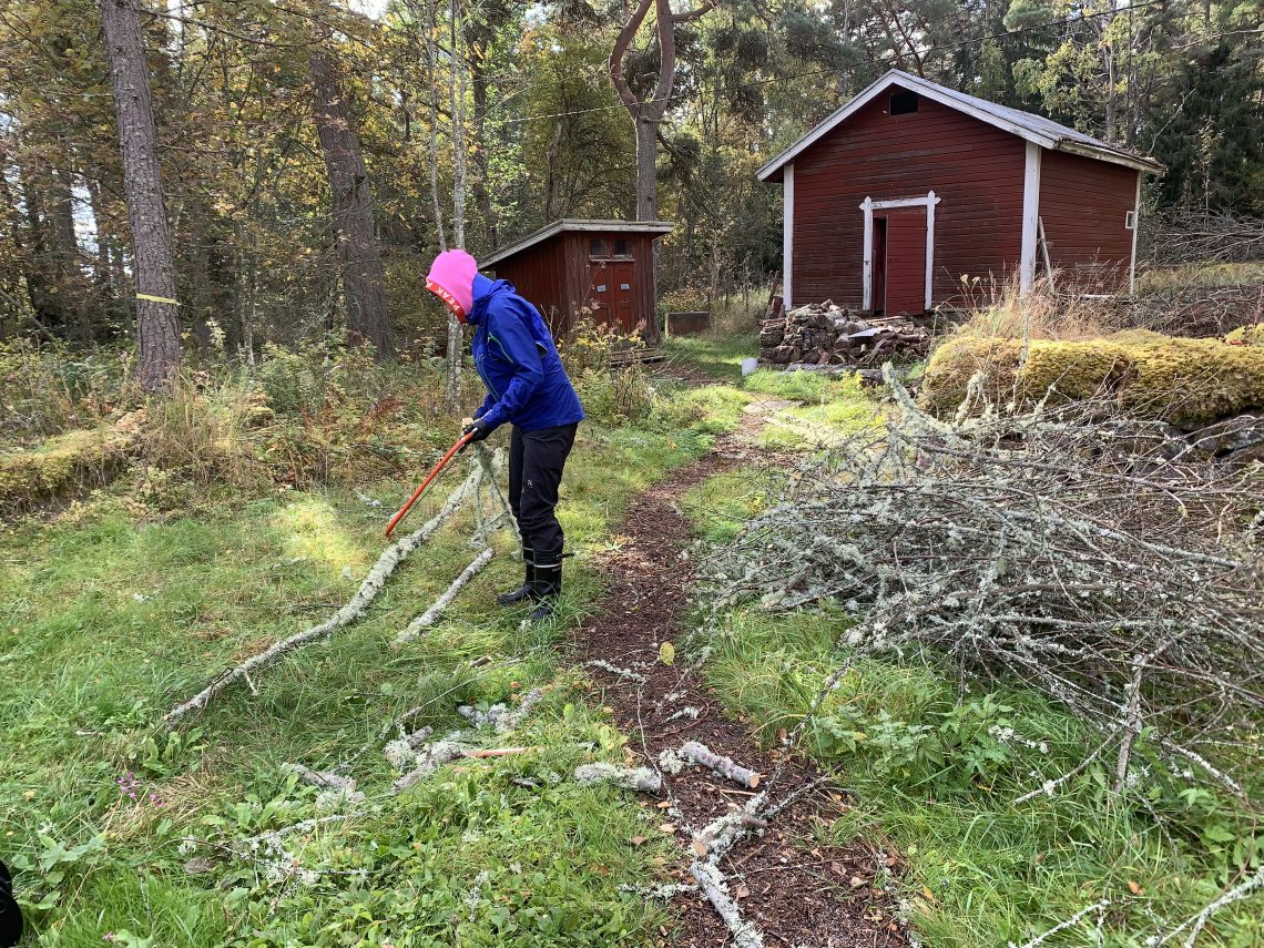 Ytteri puiden pilkkominen