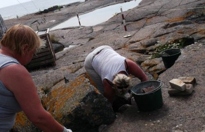 13072014_kuva3_