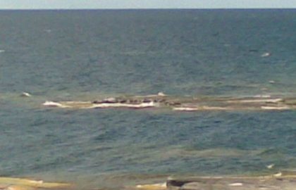 20062007_4