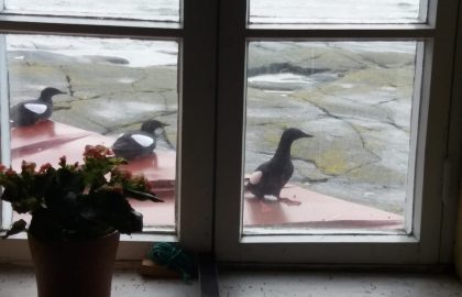 20180612_071556
