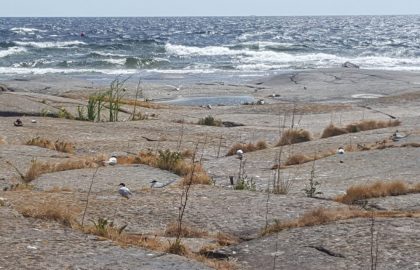 20180614_143345_resized