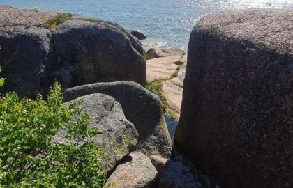 300625_kallio