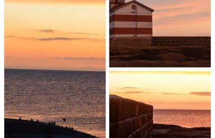 DSC_0245-COLLAGE