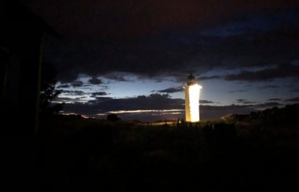 IMG-20210803-WA0011