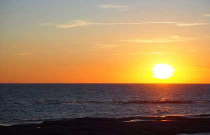 IMG-20220814-WA0005