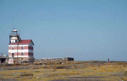 IMG-20220819-WA0014