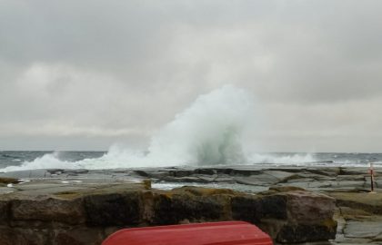 IMG-20220919-WA0017