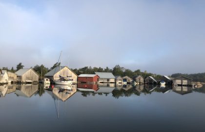 IMG_1346