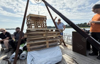 Talkooviikko 31: Meri ja Hasse (su-ke), Marja-Leena, Anne, Harri, Helena (ma-ti)