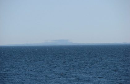 IMG_4010