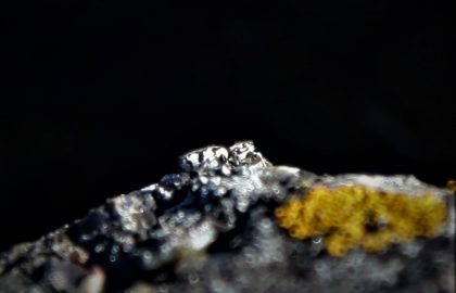IMG_5121 (2)