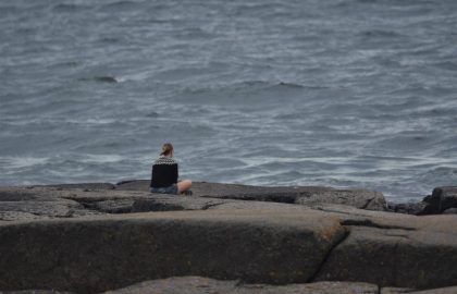 Märket_vko 33_17082018_Heta rannalla