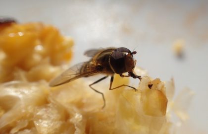 P7172180