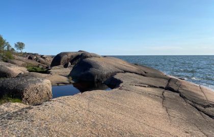 Viikko 23: 3.6.-10.6.2023 Ulla, Anja ja Fredi