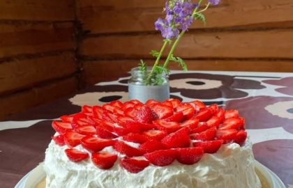 Viikko 27: 2.7.-9.7.2023 Marja-Leena, Krista, Leila ja Outi