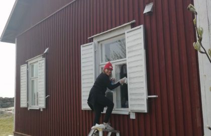 Päivi pesee ikkunat