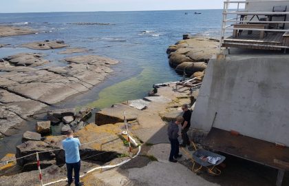 Ruotsin majakkaseura