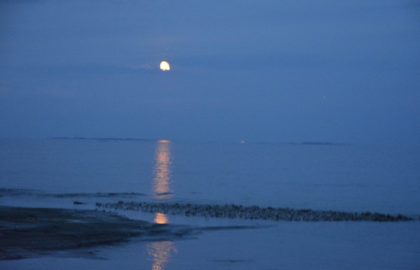 blue moon
