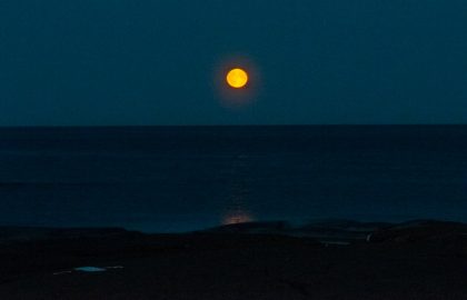 image0 (12)