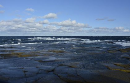 laguuni