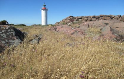 22.-25.6.2023 Pia, Tuija ja Manta